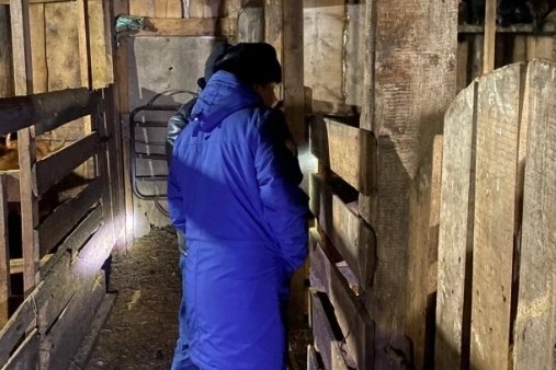 Фото: СУ СК по Красноярскому краю и Хакасии