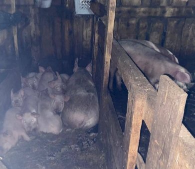 Фото: Прокуратура Красноярского края