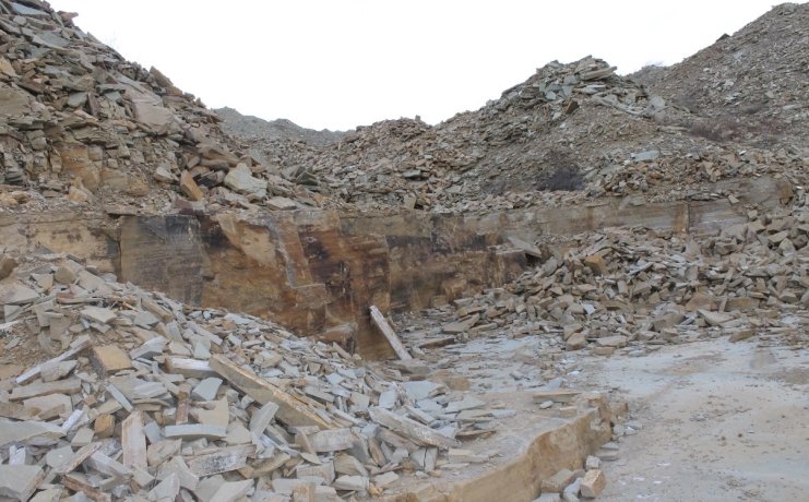 Фото: Россельхознадзор по Хакасии и Тыве