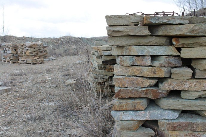 Фото: Управление Россельхознадзора по Хакасии и Тыве 