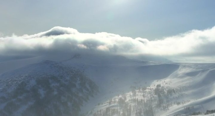 Фото: Стопкадр видео Минприроды Хакасии