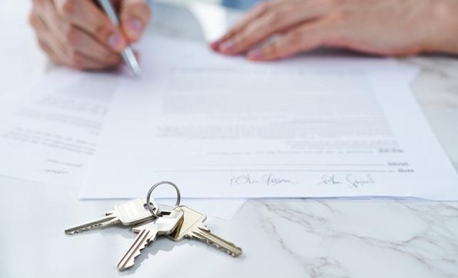 Фото: Ксения Кононова/Создано ИИ/ТАСС