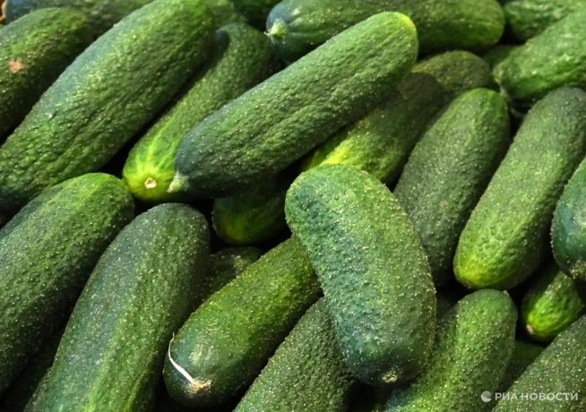 Фото:  РИА Новости / Максим Блинов