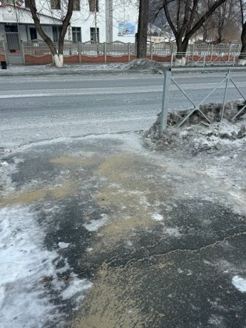 Фото: Валентина Филимонова 