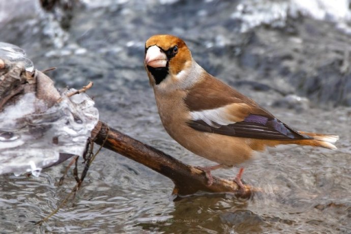 Фото: Андрей Зайченко