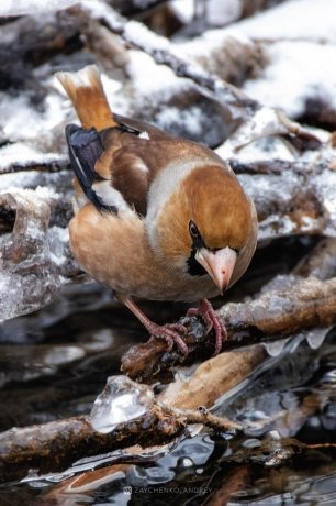 Фото: Андрей Зайченко