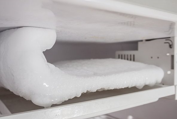 Фото: Kwangmoozaa / Shutterstock 