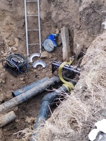 Фото: Анатолий Тайченачев