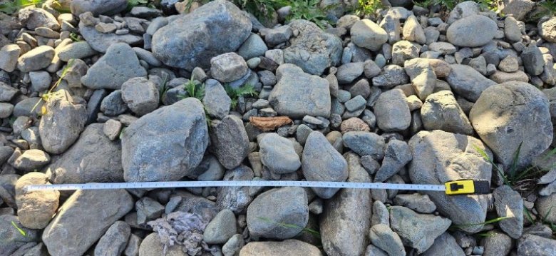 Фото: Прокуратура Красноярского края