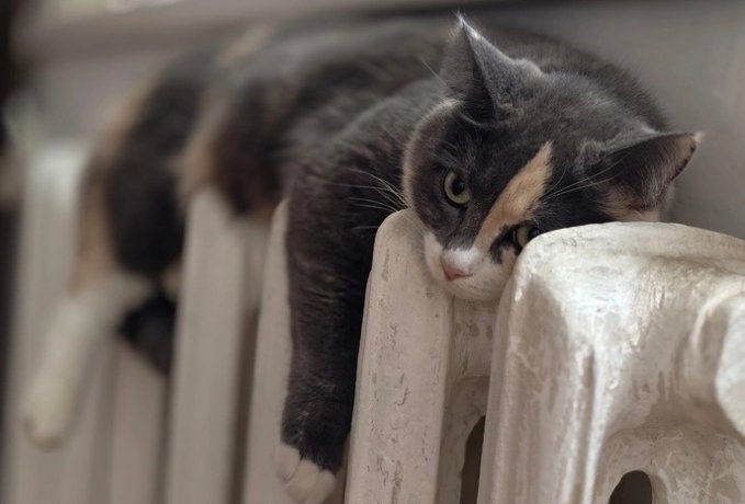 Фото: radiokp.ru