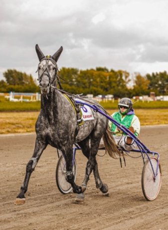 Фото: Минсельхоз Хакасии