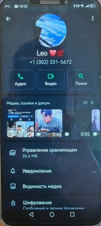 Фото: МВД по Красноярскому краю 