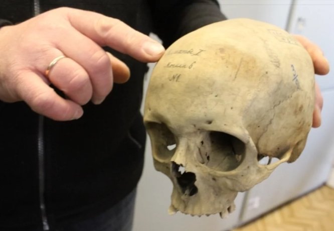 Фото: Татьяна Руденко / АиФ