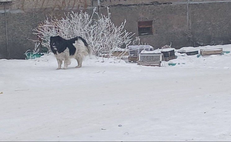 Фото: Елена Егорова 