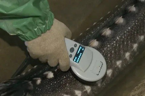 Фото: Россельхознадзор по Хакасии и Тыве