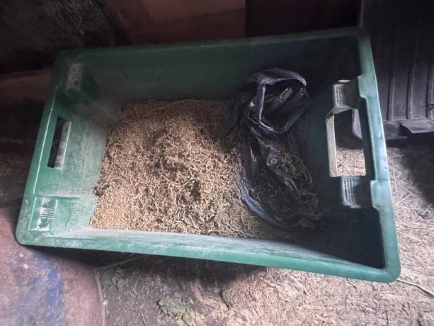 Фото: МВД по Хакасии 