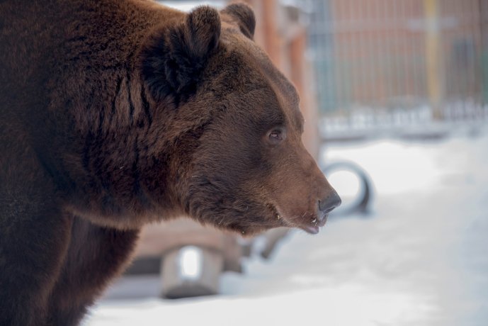 Фото: Минприроды Хакасии