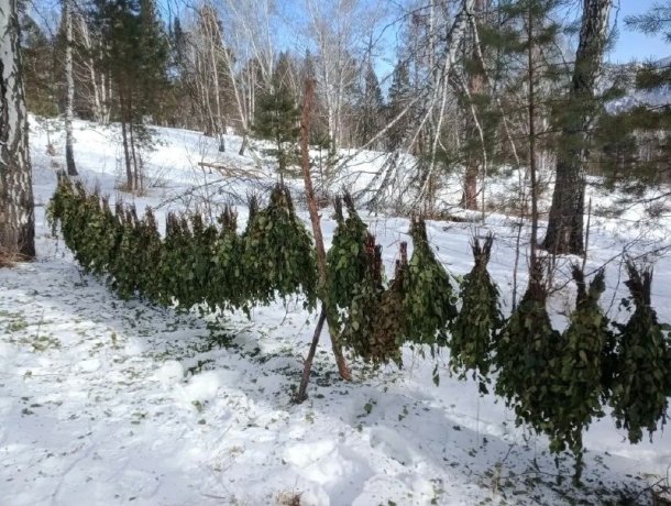 Фото: Минприроды Хакасии