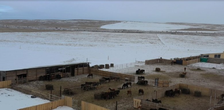 Фото: Россельхознадзор по Хакасии и Тыве