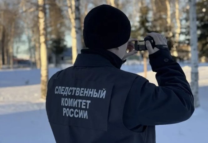 Фото: СУ СК по Красноярскому краю и Хакасии 