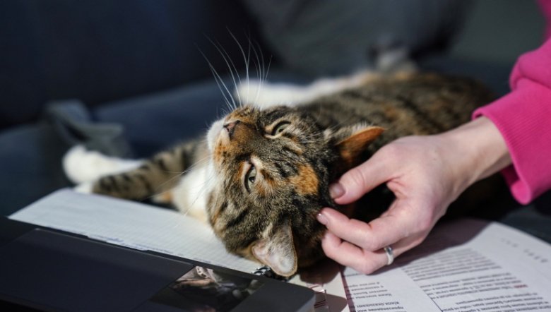 Фото: ИЗВЕСТИЯ/Анна Селина