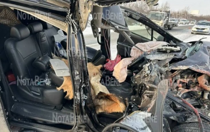 Фото: «Nota Bene»