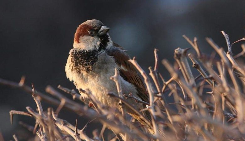 Фото: ИЗВЕСТИЯ/Владимир Суворов