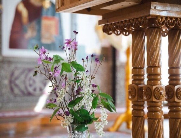 Фото: Анна Арапова