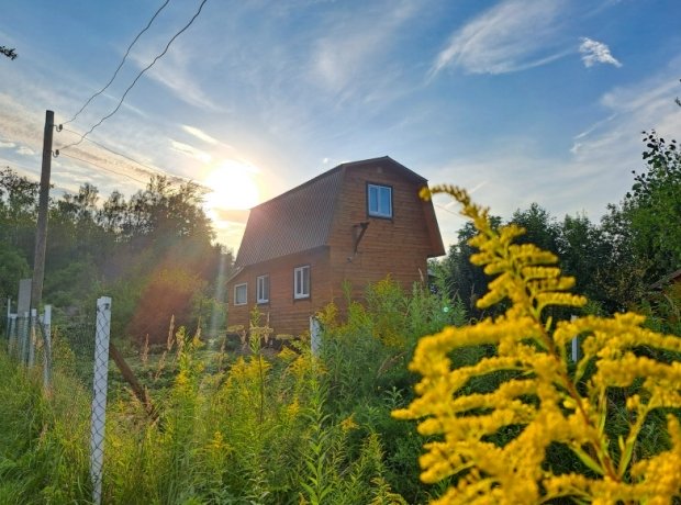 Фото: ФедералПресс / Вера Романескул