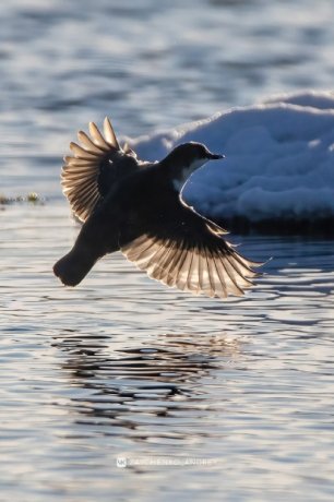 Фото: Андрей Зайченко
