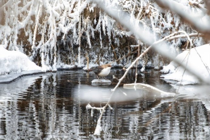 Фото: Андрей Зайченко