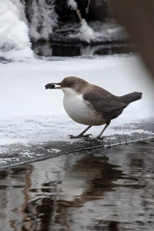 Фото: Андрей Зайченко
