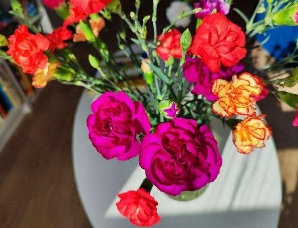 Фото: Никита Попов