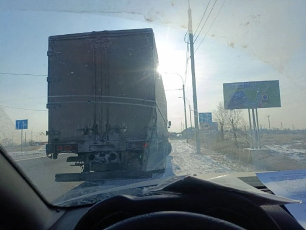 Фото: Управление Россельхознадзора по Хакасии и Тыве 