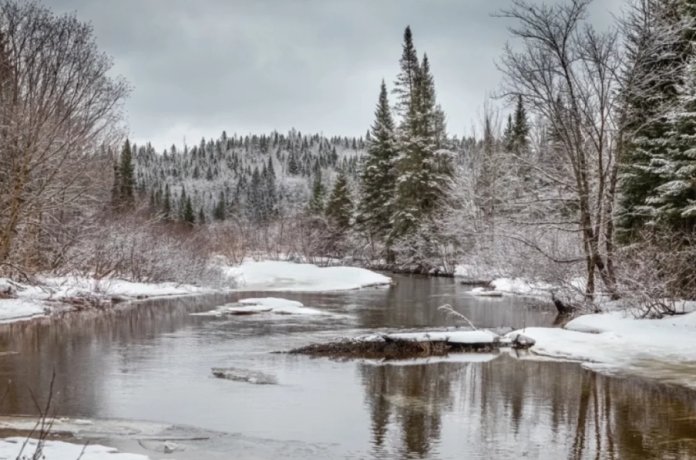 Фото: istockphoto.com