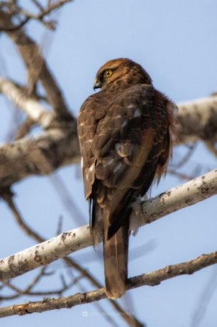 Фото: Андрей Зайченко