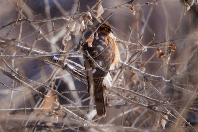 Фото: Андрей Зайченко