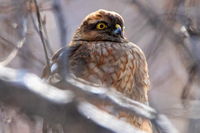 Фото: Андрей Зайченко