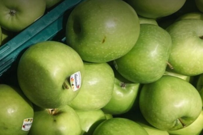 Фото: Прима