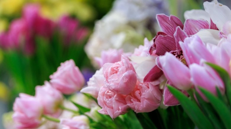 Фото: www.globallookpress.com/Sergey Elagin