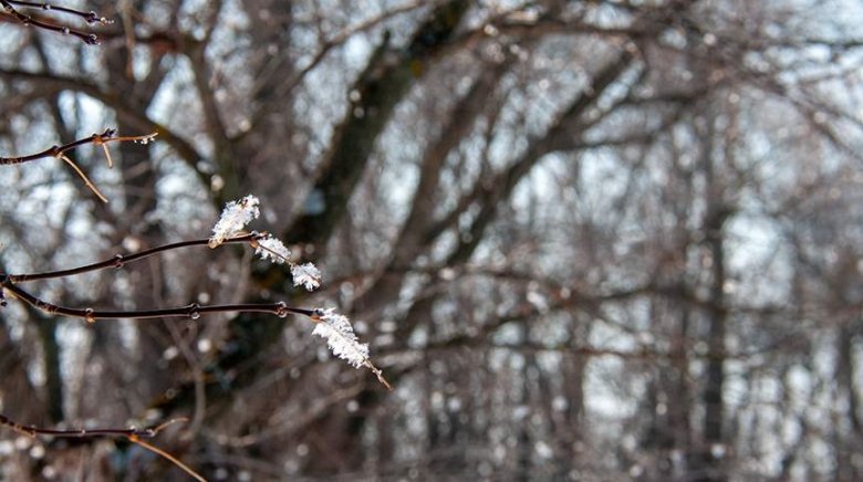 Фото: Global Look Press/Svetlana Vozmilova