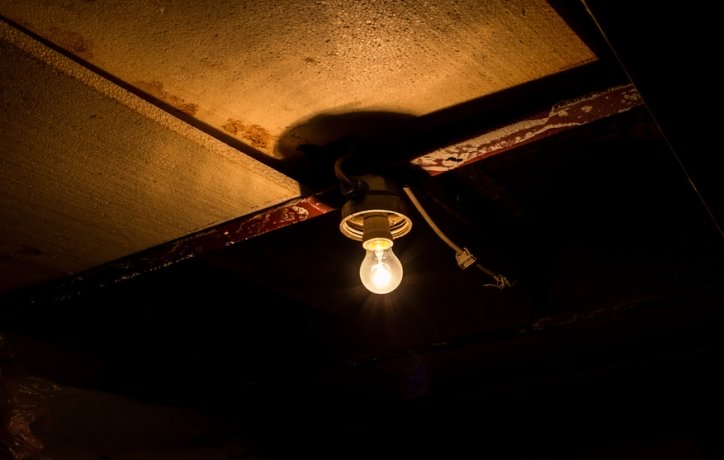 Фото: Shutterstock