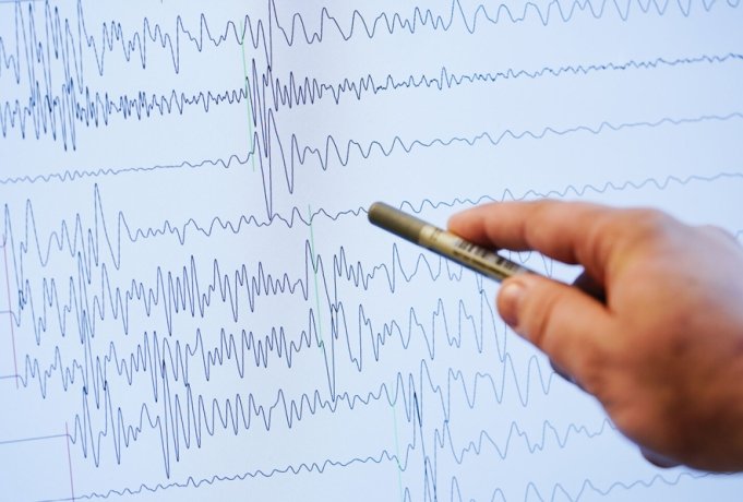 Фото: Uwe Anspach/Global Look Press