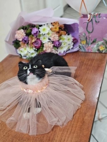 Фото: УКХТ Абакана 