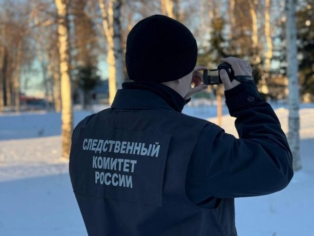 Фото: пресс-служба ГСУ СК РФ по Красноярскому краю и Хакасии