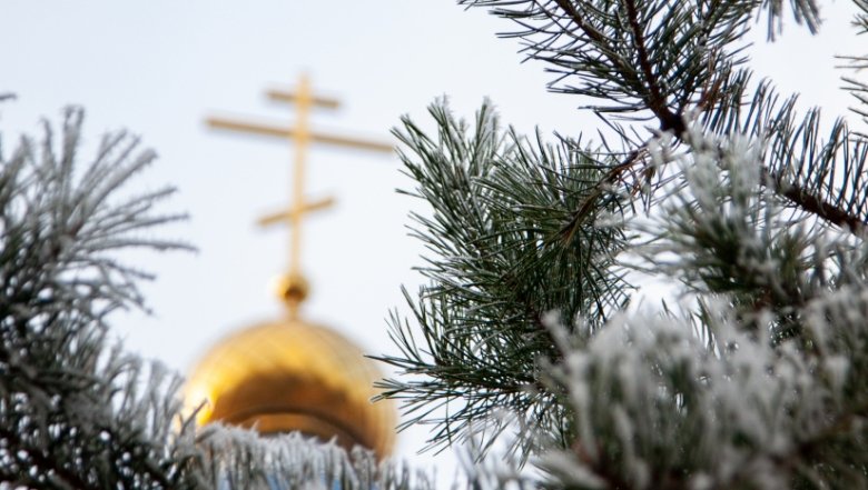 Фото: www.globallookpress.com/Oksana Korol