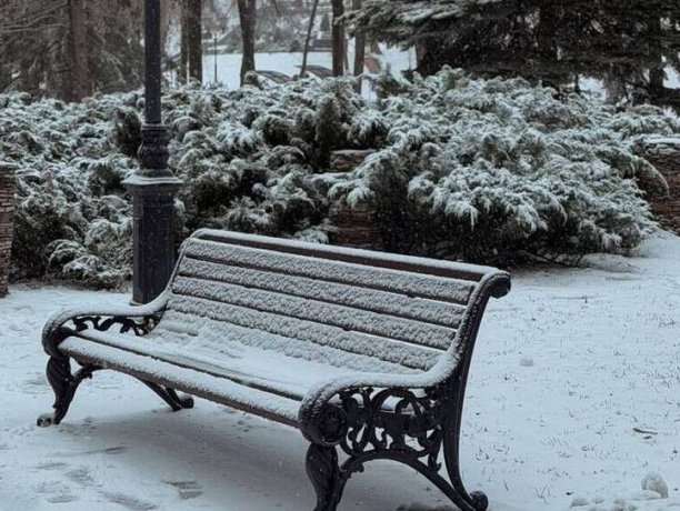 Фото: "МК в Самаре"