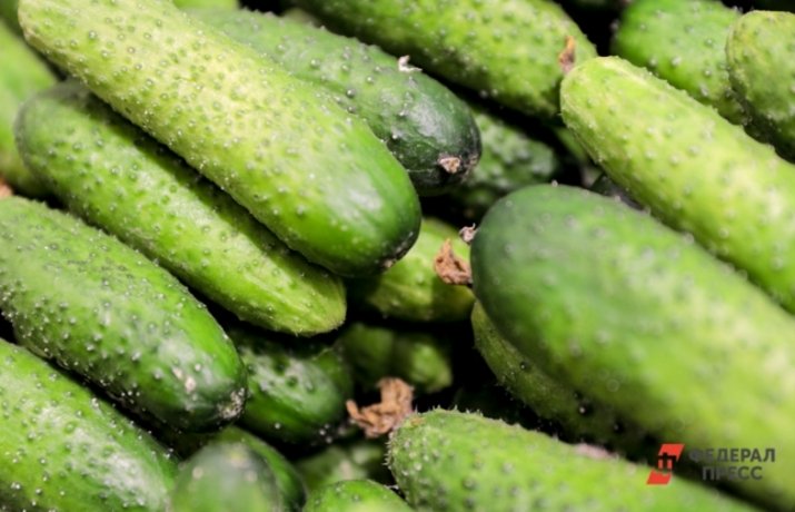 Фото: ФедералПресс / Евгений Поторочин