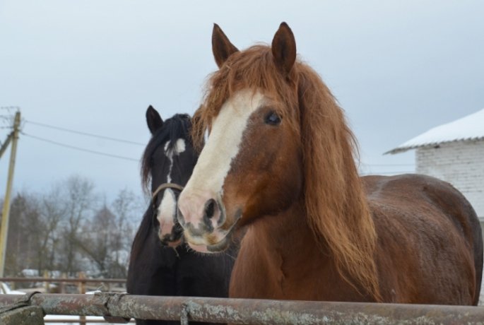 Фото: ФедералПресс / Татьяна Буторина
