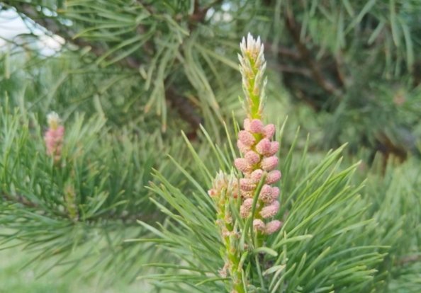 Фото: Администрация Абакана